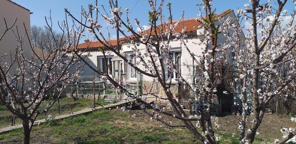 La Maison Du Bonheur Saint-Laurent-de-la-Salanque Exterior foto